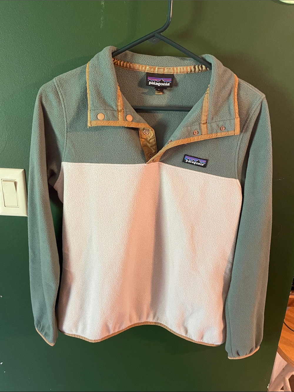 Patagonia Two-Tone Snap Pullover - Sage Green & Cream with Tan Trim